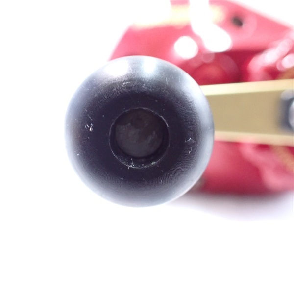 ０９ワカサギマチックＲ